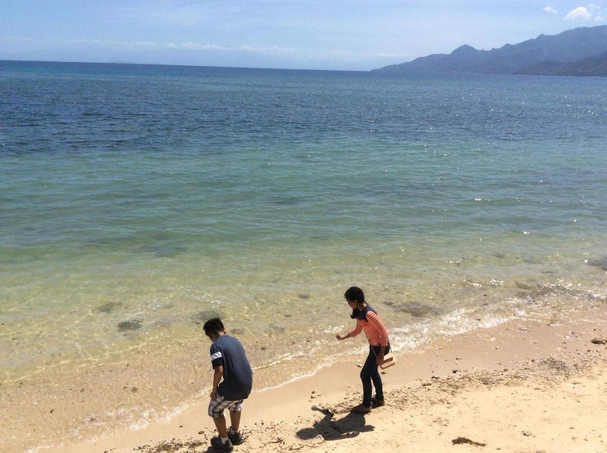 Beach House D Laiya Batangas サンフアン エクステリア 写真